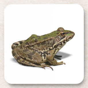 Frosch Getränkeuntersetzer