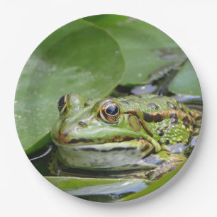 Frosch Green Lily Pad Foto Pappteller