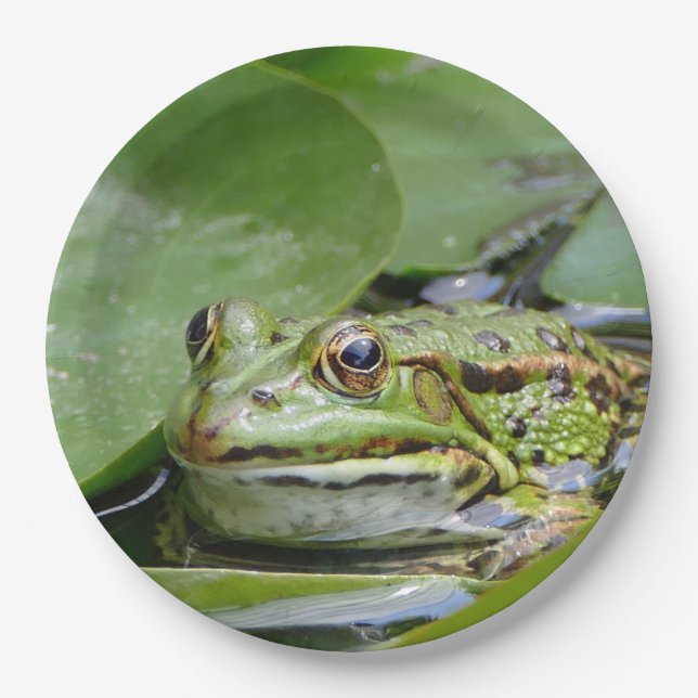 Frosch Green Lily Pad Foto Pappteller (Vorderseite)