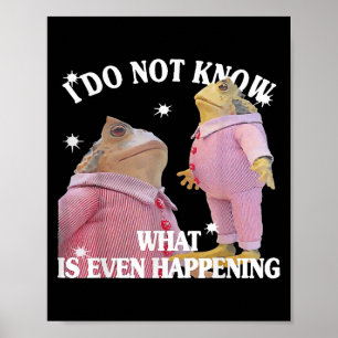 Frosch ich weiß nicht, was ist sogar Ereignis Poster