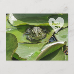 Frosch im Grünen Blick auf Sie Vielen Dank Postcar Postkarte