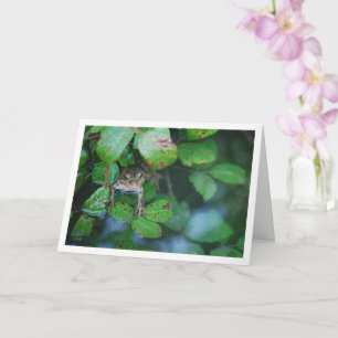 Frosch im Portrait des Leafy Pond Karte