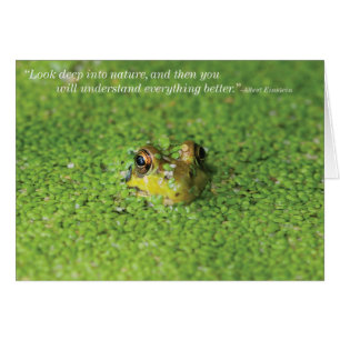 Frosch in den grünen Algen