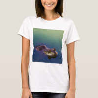 Frosch in Wasser Grünen Froschauen