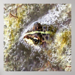 Frosch, in Wasserblasen und Froschlacht getaucht Poster
