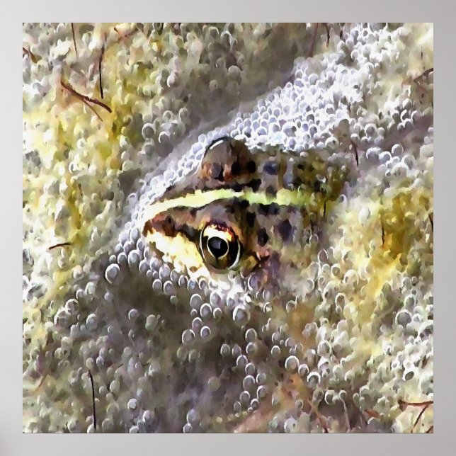 Frosch, in Wasserblasen und Froschlacht getaucht Poster (Vorne)