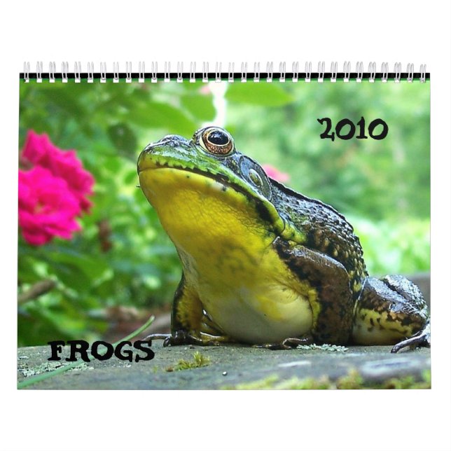 Frosch-Kalender Kalender (Titelbild)