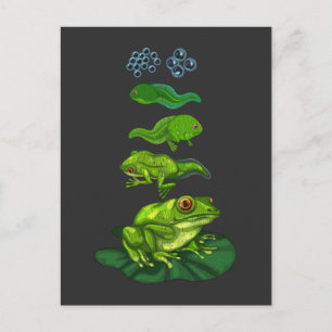 Frosch Kaulquappen Biologie Metamorphose Lebenszyk Postkarte