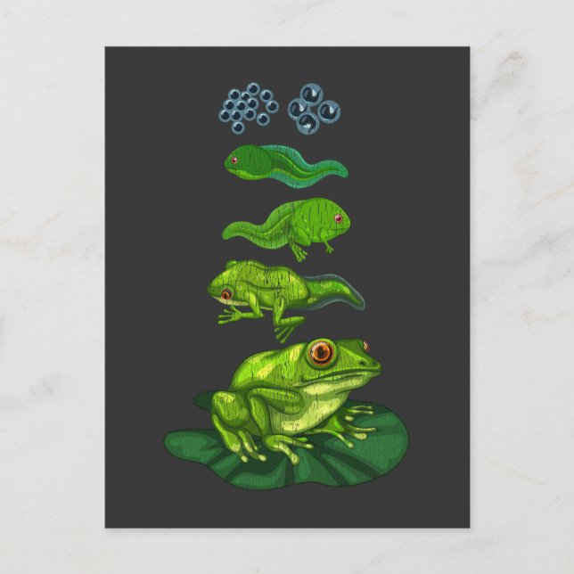 Frosch Kaulquappen Biologie Metamorphose Lebenszyk Postkarte (Vorderseite)
