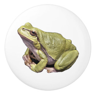 Frosch Keramikknauf