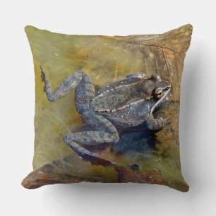 Frosch Kissen