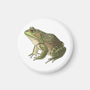 Frosch Magnet