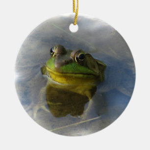 Frosch mit Attitude Keramikornament