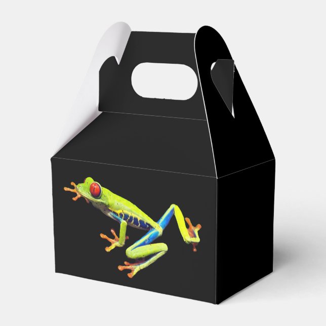 Frosch, Mit Augen gestrichen Geschenkschachtel (Vorderseite)