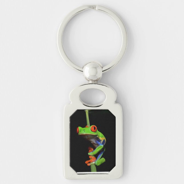 Frosch, Mit Augen gestrichen Schlüsselanhänger (Vorderseite)