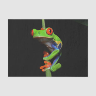 Frosch, Mit Augen gestrichen Seidenpapier