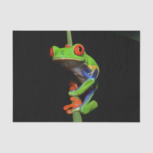Frosch, Mit Augen gestrichen Seidenpapier (Vorderseite)