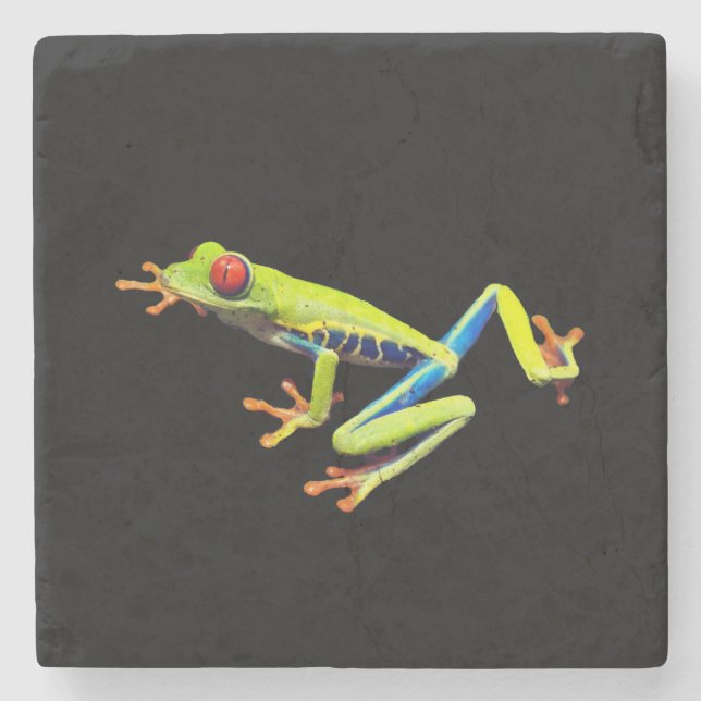 Frosch, Mit Augen gestrichen Steinuntersetzer (Vorderseite)