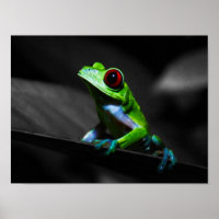 Frosch, Mit Augen Rotbaum III