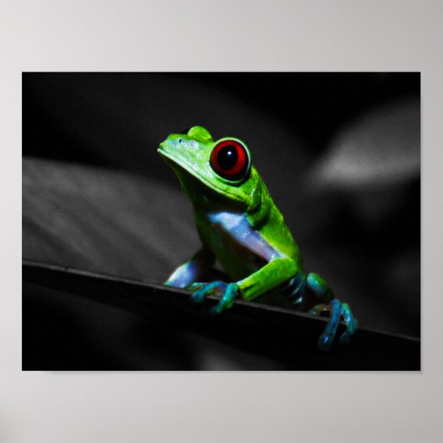 Frosch, Mit Augen Rotbaum III Poster (Vorne)