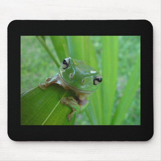 Frosch! Mousepad (Vorne)