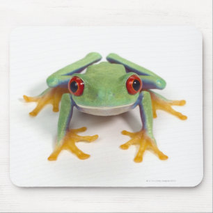 Frosch Mousepad