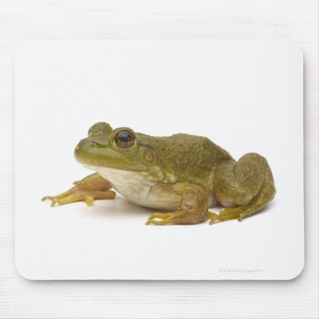 Frosch Mousepad (Vorne)