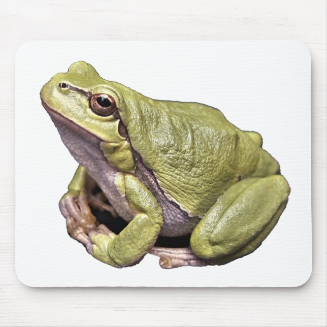 Frosch Mousepad (Vorne)