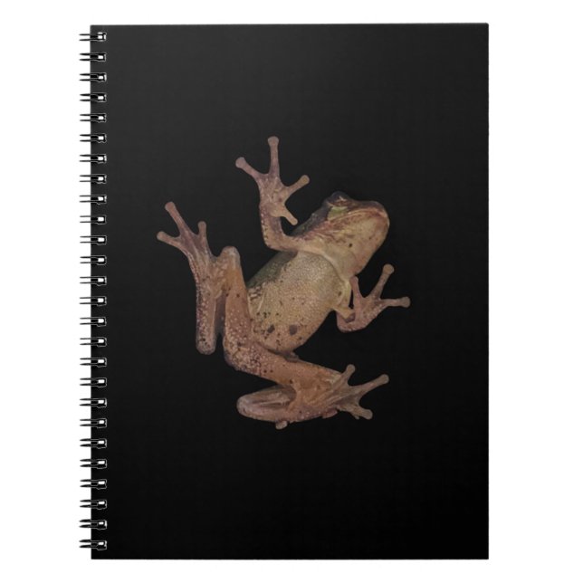 Frosch Notizblock (Vorderseite)