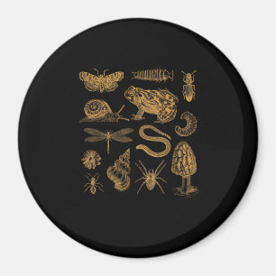 Frosch-Pilz-Motte Vintage-Liebhaber Goblincore Magnet