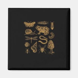 Frosch-Pilz-Motte Vintage-Liebhaber Goblincore Magnet