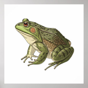 Frosch Poster