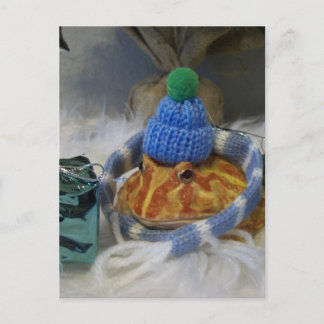 Frosch Postkarte
