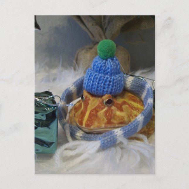 Frosch Postkarte (Vorderseite)