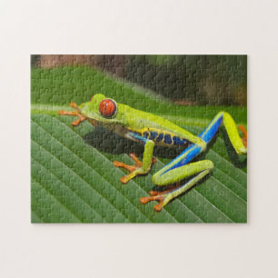 Frosch Puzzle
