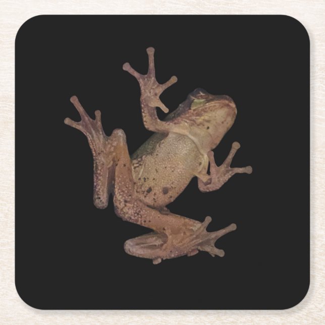 Frosch Rechteckiger Pappuntersetzer (Vorderseite)