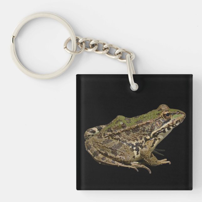 Frosch Schlüsselanhänger (Vorderseite)