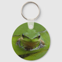 Frosch-Schlüsselanhänger