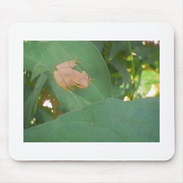 Frosch sitzend auf grünem Leaf Mousepad (Vorne)