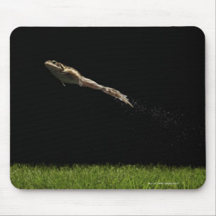 Frosch sprang von frisch grünem Gras Mousepad