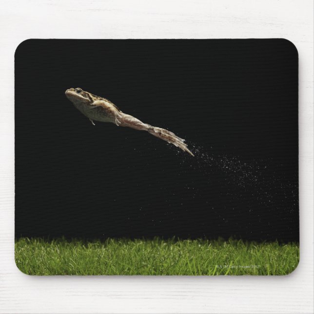 Frosch sprang von frisch grünem Gras Mousepad (Vorne)