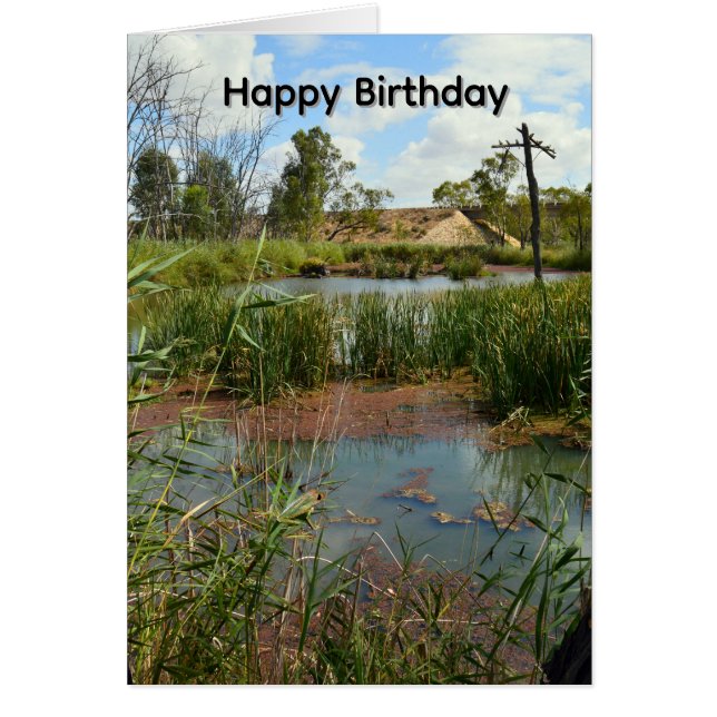 Frosch-Sumpf-Paradies Riverland Australien, Geburt (Vorne)
