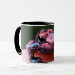 Frosch Tasse