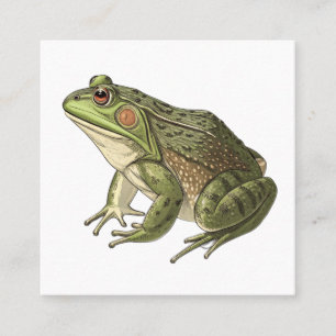 Frosch Telefonnummerkarte