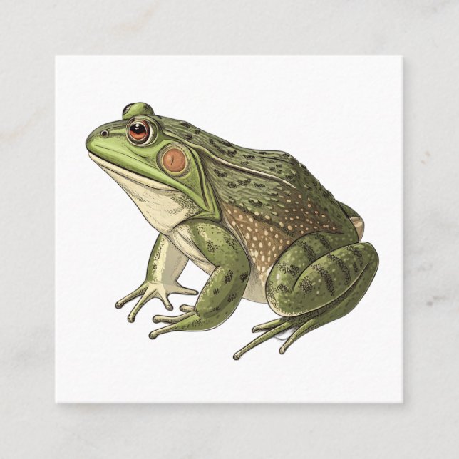 Frosch Telefonnummerkarte (Vorderseite)
