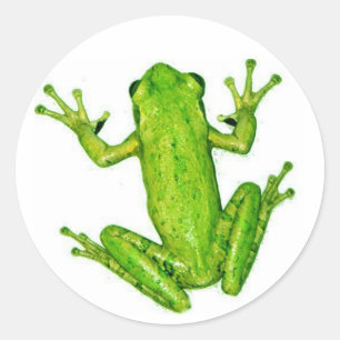 Frosch Tropischer Regenwald Froschsticker Art Runder Aufkleber