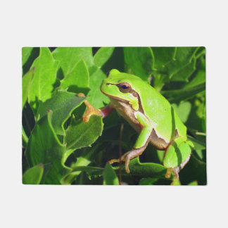 Frosch-Tür-Matte Fußmatte