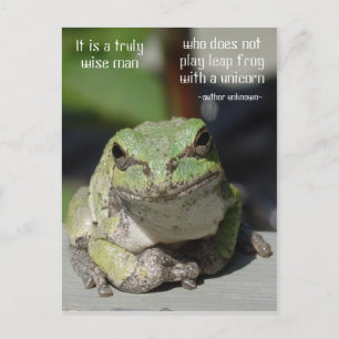 Frosch und Einhorn Postkarte