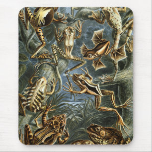 Frosch und Kröte Ernst Haeckel vintage Mousepad