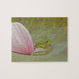 Frosch und Lotusblütenblatt, China, Puzzle